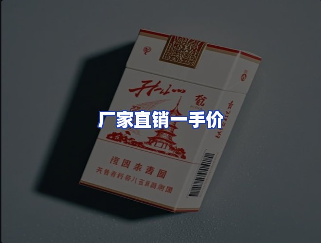 专业团队